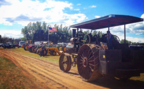 Threshing Bee Show